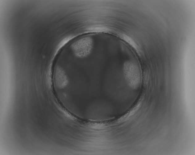 X0000111421071200907271138