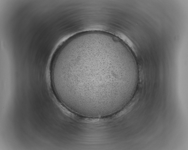 X0000111421072200907271138