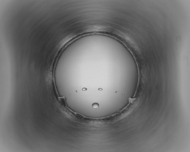 X0000111421073200907271138