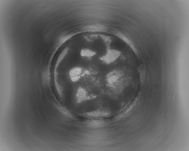 X0000111421074200907271138