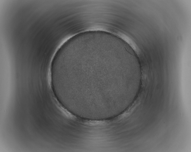 X0000111421076200907271138