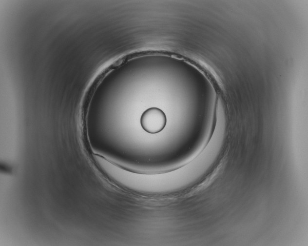 X0000111421077200907271138