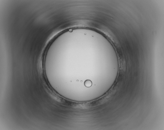 X0000111421078200907271138