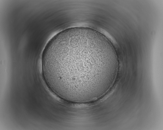 X0000111421079200907271138