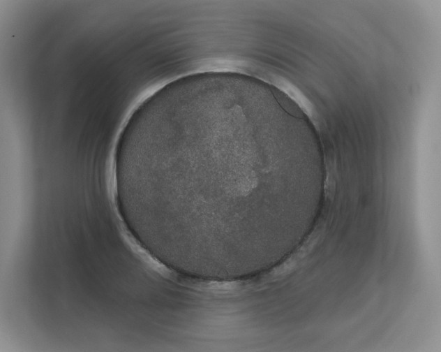 X0000111421080200907271138