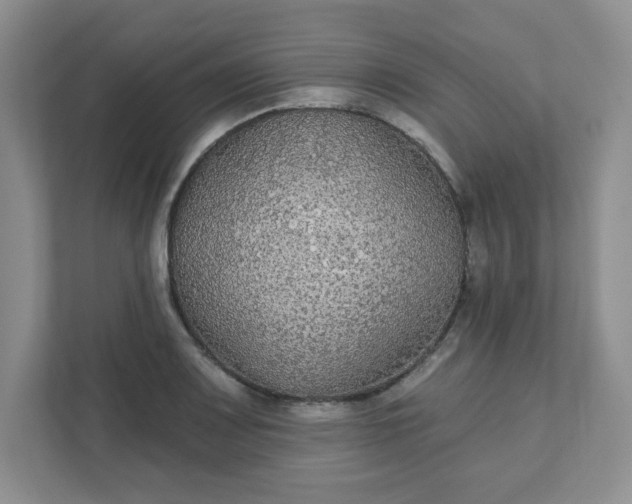 X0000111421083200907271138