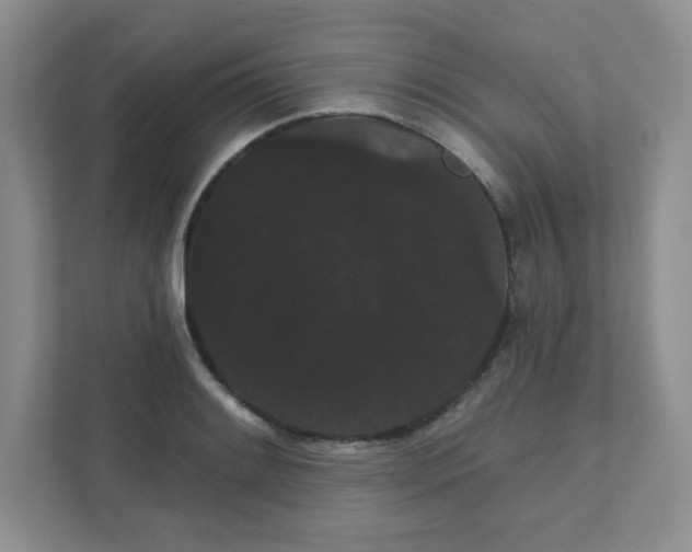 X0000111421084200907271138