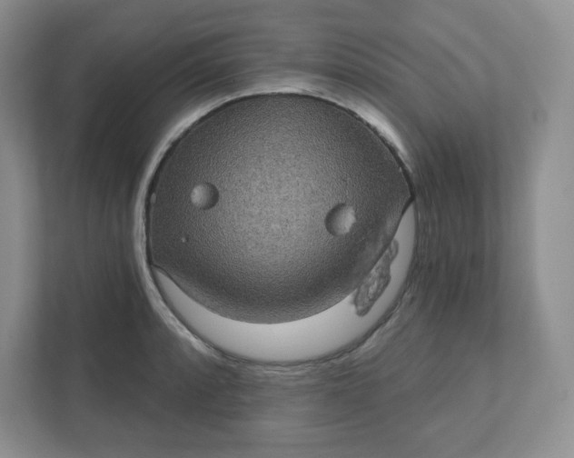 X0000111421088200907271138