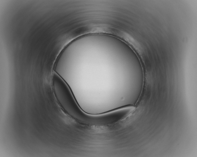 X0000111421089200907271138