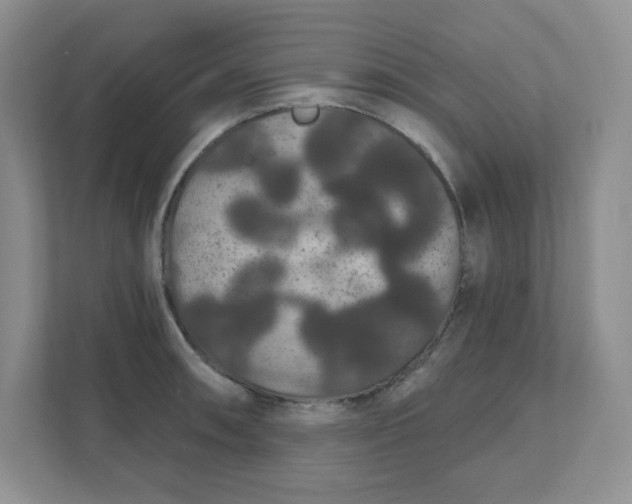 X0000111421090200907271138