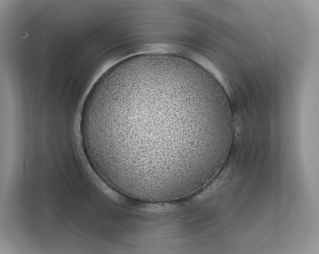 X0000111421091200907271138