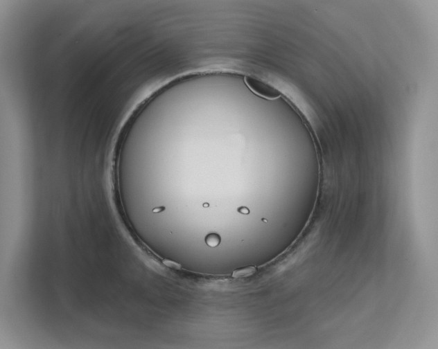 X0000111421093200907271138