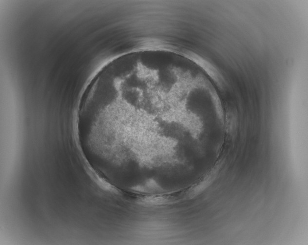 X0000111421094200907271138