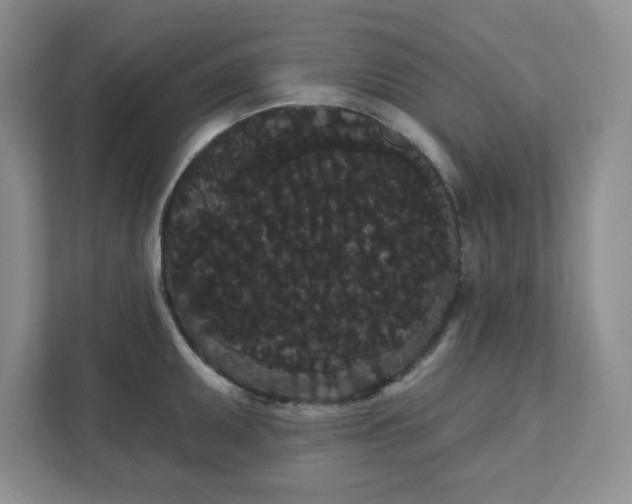 X0000111421095200907271138