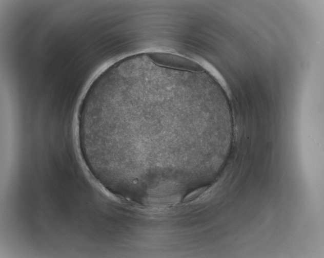 X0000111421096200907271138