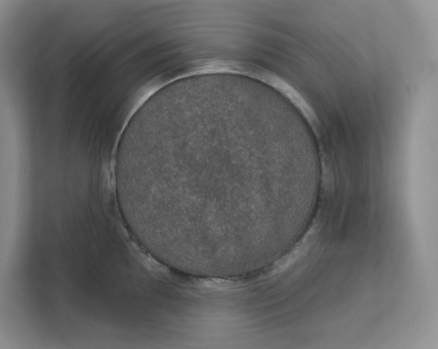 X0000111421097200907271138