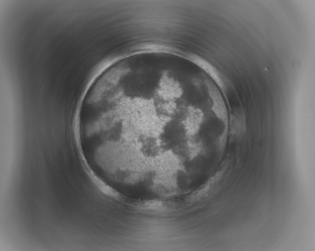 X0000111421098200907271138