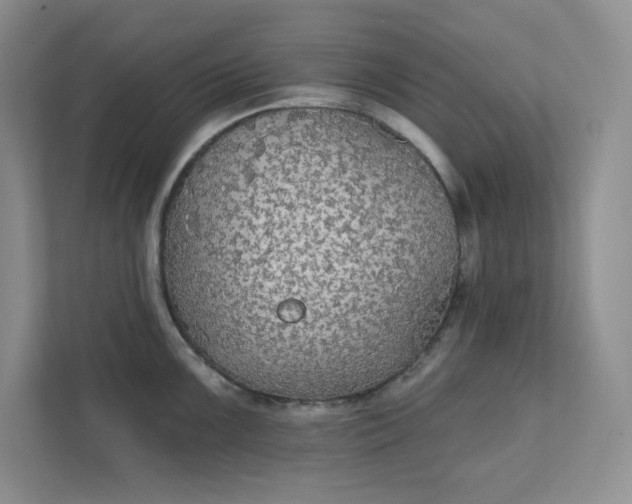 X0000111421099200907271138