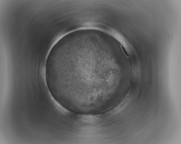 X0000111421100200907271138