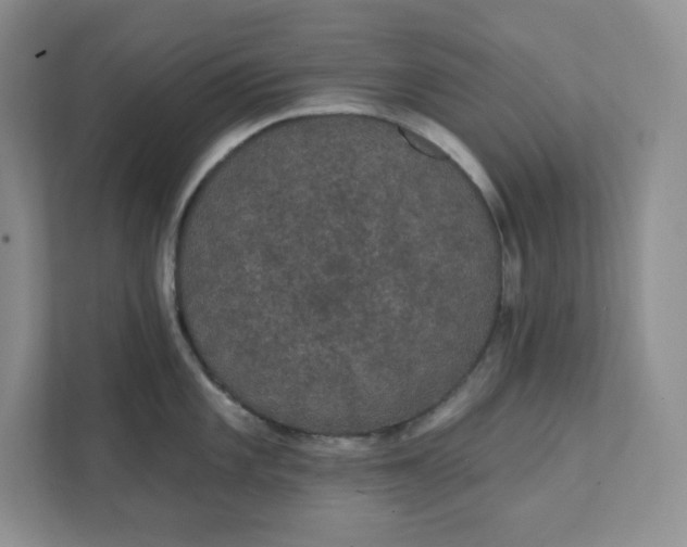 X0000111421101200907271138