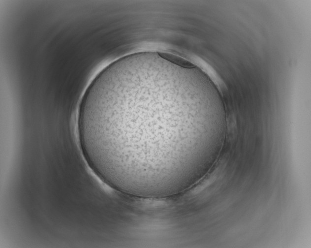 X0000111421103200907271138