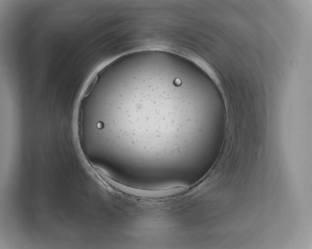 X0000111421104200907271138