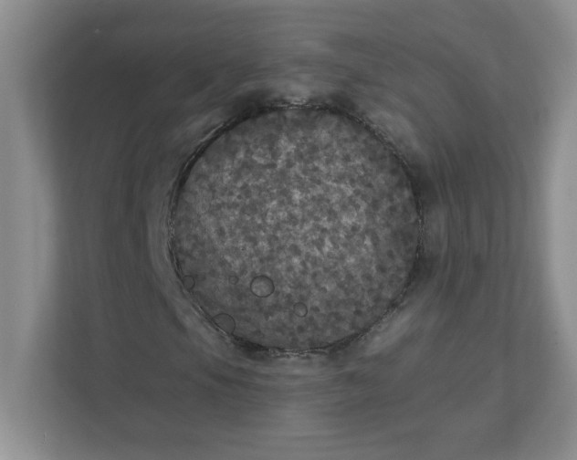 X0000111421105200907271137