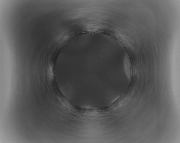 X0000111421106200907271137