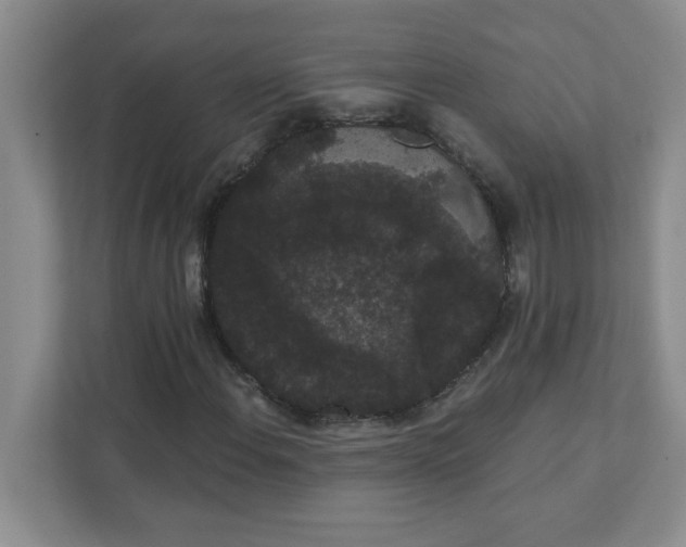 X0000111421108200907271137