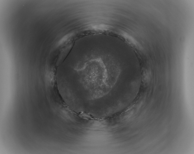 X0000111421110200907271137