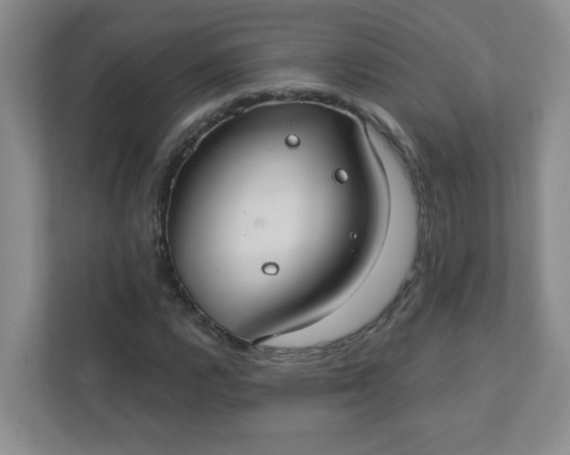 X0000111421112200907271137