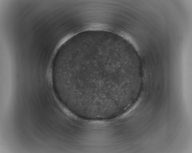 X0000111421114200907271137