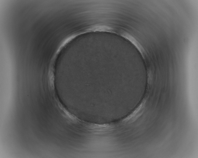 X0000111421115200907271137