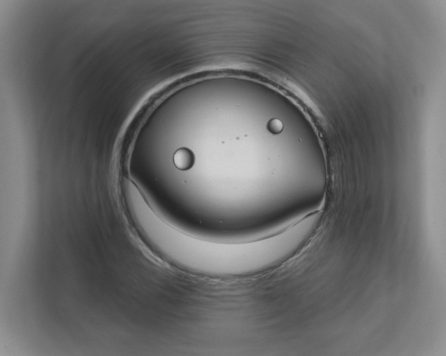 X0000111421116200907271137