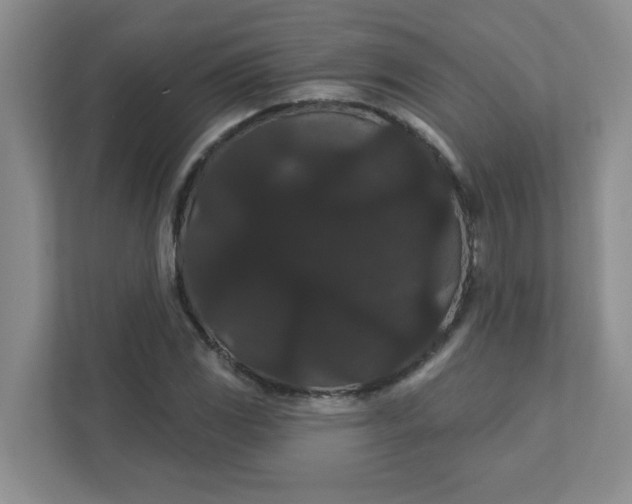 X0000111421117200907271137