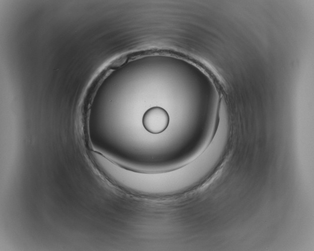 X0000111421118200907271137