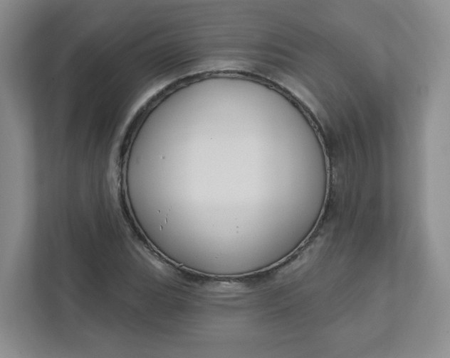 X0000111421119200907271137