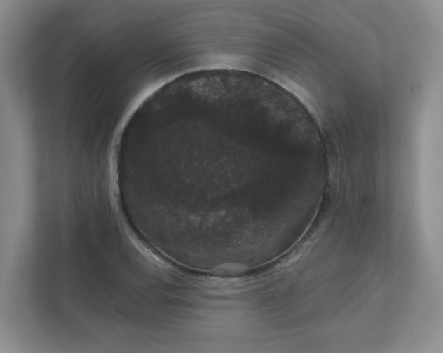 X0000111421120200907271137