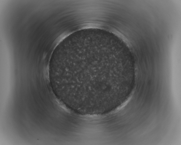 X0000111421121200907271137