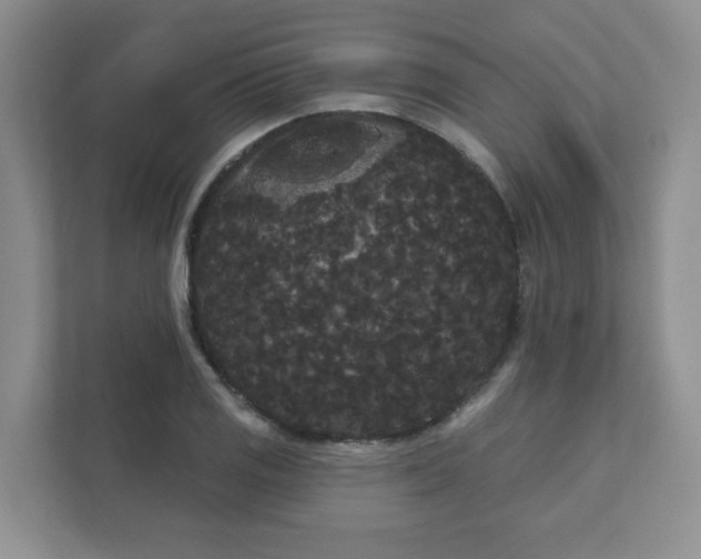 X0000111421125200907271137