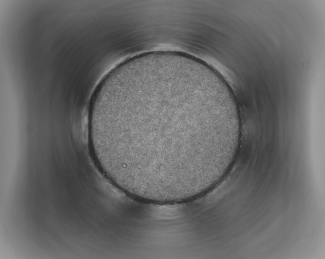 X0000111421126200907271137