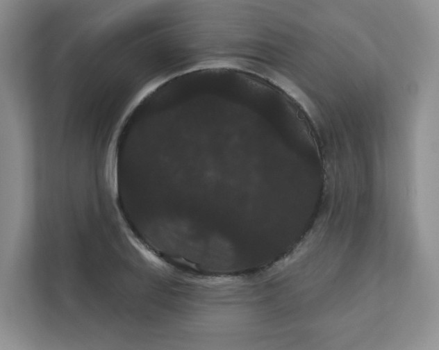 X0000111421127200907271137