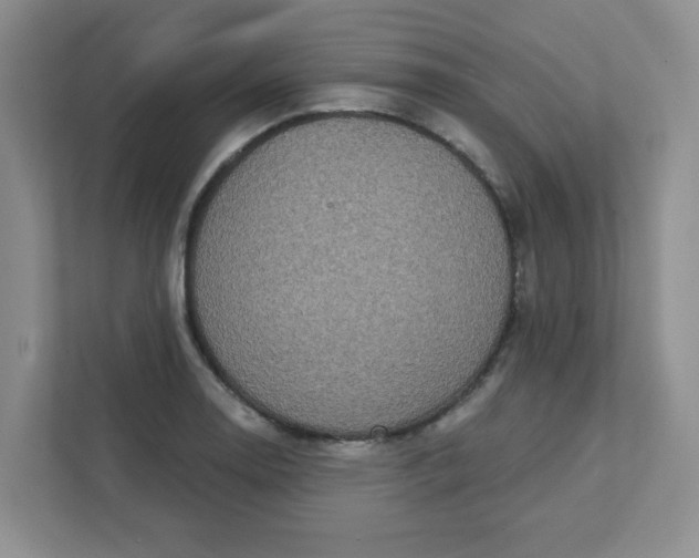 X0000111421130200907271137