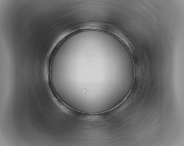 X0000111421131200907271137