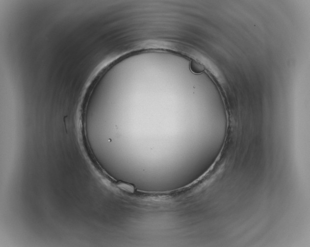 X0000111421133200907271137