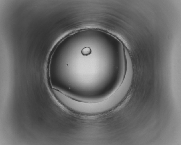 X0000111421134200907271137