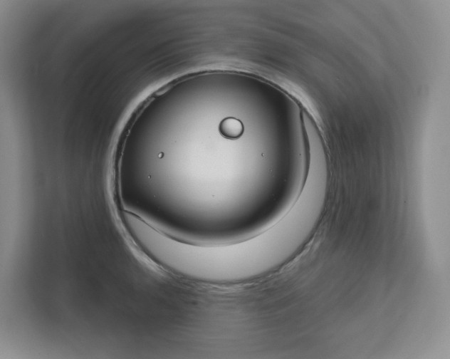 X0000111421136200907271137