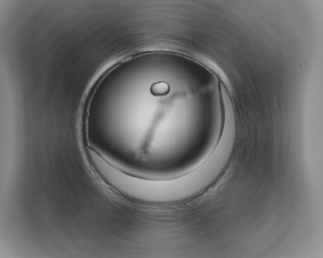 X0000111421138200907271137