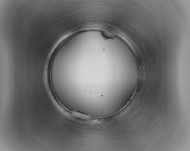 X0000111421139200907271138