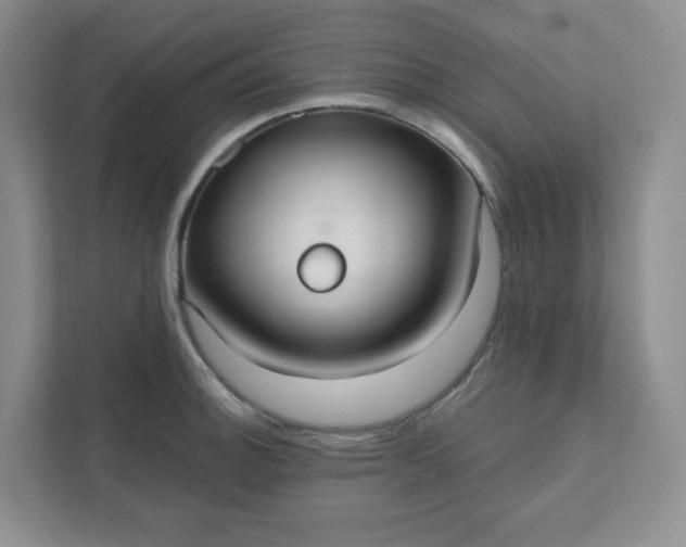 X0000111421140200907271138